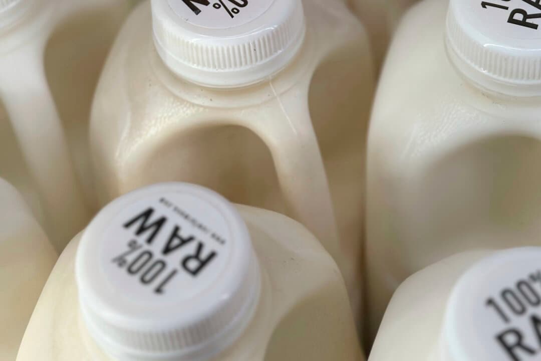 How Western Medicine Buried Traditional Raw Milk Healing