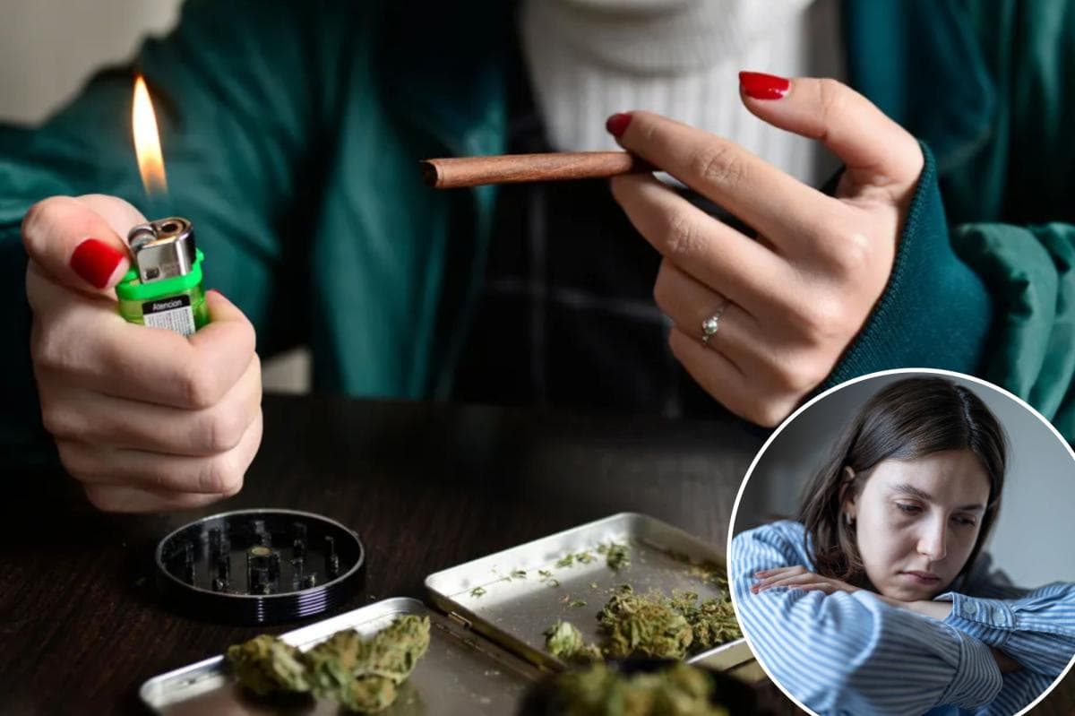 Western Medical Cannabis Hype Exposed: Study Reveals Truth